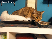 Hera - möchte wieder vertrauen