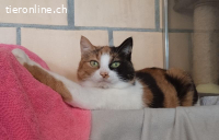 Herzenswunsch: Zuhause gesucht für Bruno & Trudy