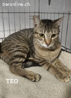 Hiro & Teo (9 Monate) - Dreamteam