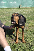 Holly - und irgendwann war er einfach nicht mehr gebraucht..