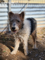 Honey wartet. Und versteht nicht, warum niemand kommt