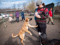 Huckelberry hat ein sonniges Gemüt
