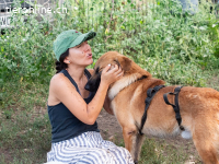 Huckelberry hat ein sonniges Gemüt
