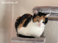 Hübsche Cata wartet auf ihre Familie