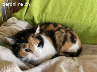 Hübsche Cata wartet auf ihre Familie