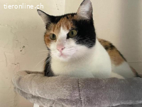 Hübsche Cata wartet auf ihre Familie