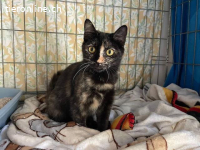 Hübsche, vorsichtige Nina wünscht sich ihren Platz