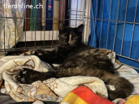 Hübsche, vorsichtige Nina wünscht sich ihren Platz