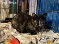 Hübsche, vorsichtige Nina wünscht sich ihren Platz