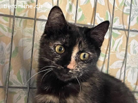 Hübsche, vorsichtige Nina wünscht sich ihren Platz