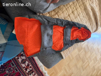 Hunde Zubehör