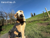 Ich bin auf der Suche