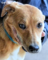 Idalee - Die Wunde namens Zeit...