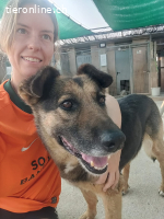 Jaisa, geb. 15.11.2013, Größe ca. 50-55cm, Zuhause verloren