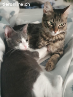JASMIN & STEVIE - WUNDERSCHOENE MISCHLINGE