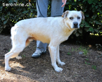 Jedd - Liebe auf den zweiten Stern