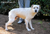 Jedd - Liebe auf den zweiten Stern