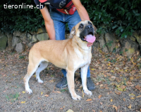 Joonas - wohin führt sein Weg?