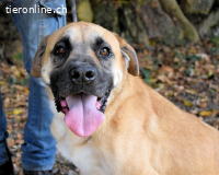 Joonas - wohin führt sein Weg?