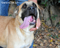 Joonas - wohin führt sein Weg?