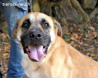 Joonas - wohin führt sein Weg?