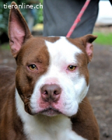 Jovienne - Menschenliebhaberin sucht Partner/in fürs Leben!