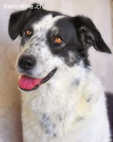 Julinda - Bitte, bitte helft uns!