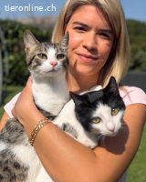 JULIO & JULIA - ZWEI KLEINE SEELEN DIE ES VERDIENT HABEN