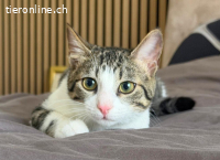 JULIO & JULIA - ZWEI KLEINE SEELEN DIE ES VERDIENT HABEN