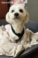 Juma - ruhig und zerbrechlich