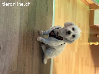 Juma - ruhig und zerbrechlich