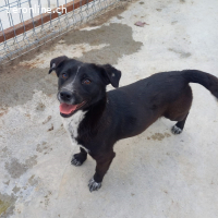 Juna vom Schatten ins Licht sie sucht ihr Glück