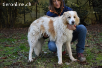 Jury - Powerpaket mit ganz viel Herz im Gepäck