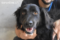 Kael - Nur ein einziges mal die Chance auf Leben