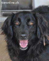 Kael - Nur ein einziges mal die Chance auf Leben