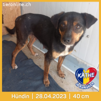 Käthe, kleine Seele mit großem Mutterherz