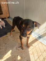 Käthe, kleine Seele mit großem Mutterherz