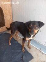 Käthe, kleine Seele mit großem Mutterherz