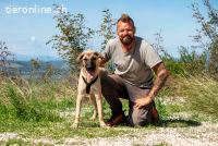 Kajan (1 Jahr) möchte mit dir Abenteuer erleben