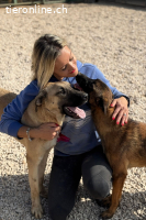 Kajan (1 Jahr) möchte mit dir Abenteuer erleben