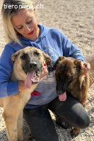 Kajan (1 Jahr) möchte mit dir Abenteuer erleben