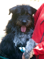 Kalayaan, eine geballte Ladung Freundlichkeit