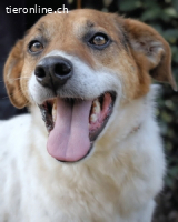 Kamyll - Der Platz neben dir ?