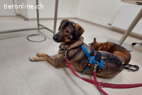 Kassandra (3 Jahre) auf der Suche nach ihrem Herzensmenschen