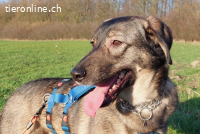 Kassandra (3 Jahre) auf der Suche nach ihrem Herzensmenschen