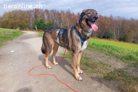 Kassandra (3 Jahre) auf der Suche nach ihrem Herzensmenschen