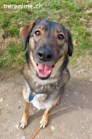 Kassandra (3 Jahre) auf der Suche nach ihrem Herzensmenschen