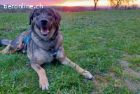 Kassandra (3 Jahre) auf der Suche nach ihrem Herzensmenschen