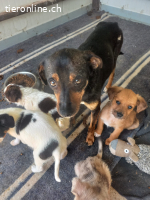 Katta eine kleine Entdeckerin auf der suche nach ihr Glück