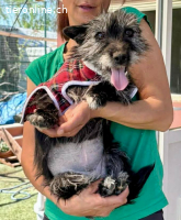 Katzenverträgliches Minimäuschen Finja